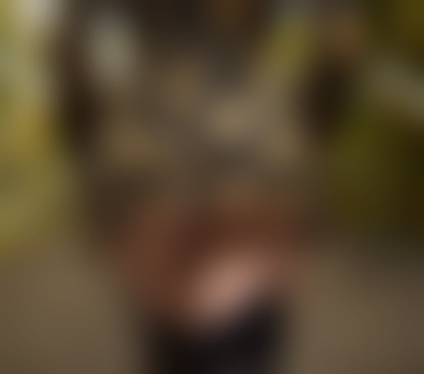 Escorts North West London Harrow - Photos for Sexy Girl Best Owo Party Fetish