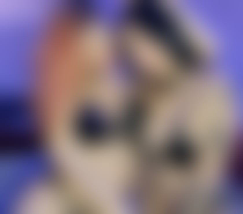 Escorts Bristol Saint Annes Park - Bristol - Photos for GFE Full services❤️ All the time in&out