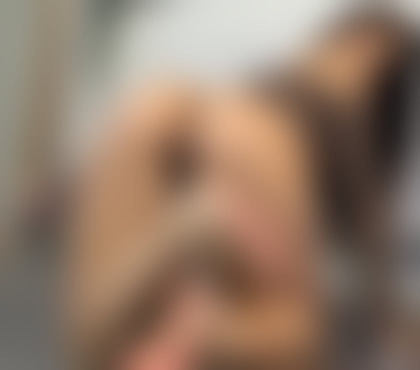 Escorts Somerset Bath and North East Somerset - Photos for GFE Full services❤️ All the time Outcall