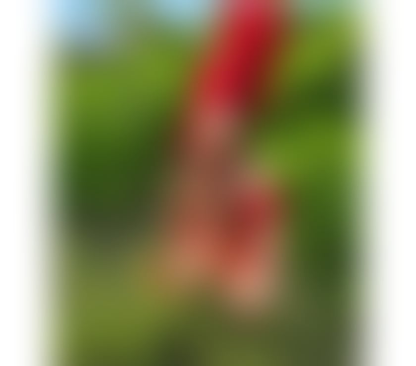 Trans Escorts North London Tottenham - North London - Photos for brunette Indian Brazilian sex 🍆