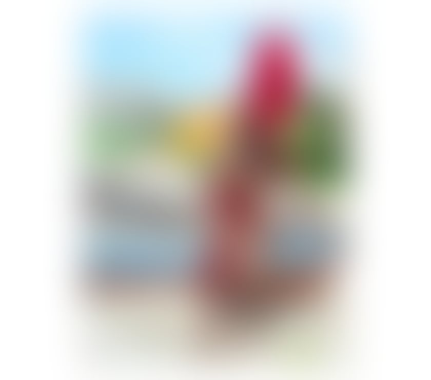 Trans Escorts North London Tottenham - North London - Photos for brunette Indian Brazilian sex 🍆