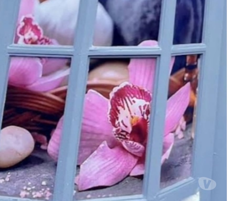 Escorts South Yorkshire Rotherham - Photos for 🍀🍀New🍀Chinese Massage🍀 Rotherham🍀🍀