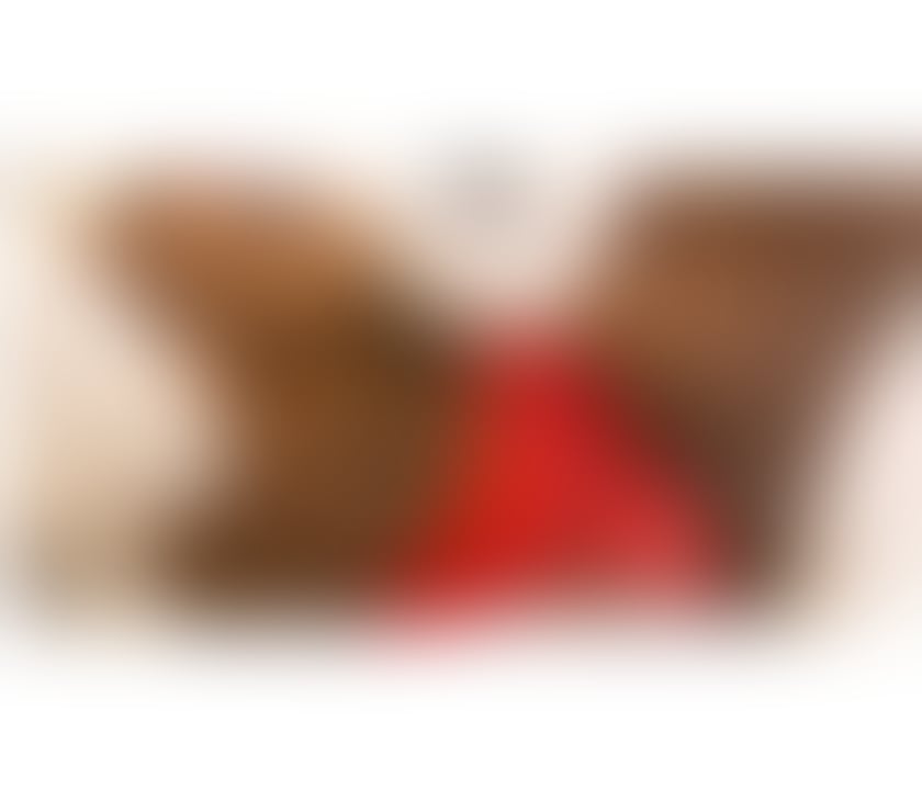 Escorts South West London Tooting Broadway - South West London - Photos for Sweet ebony 👅👅👅💋🍆