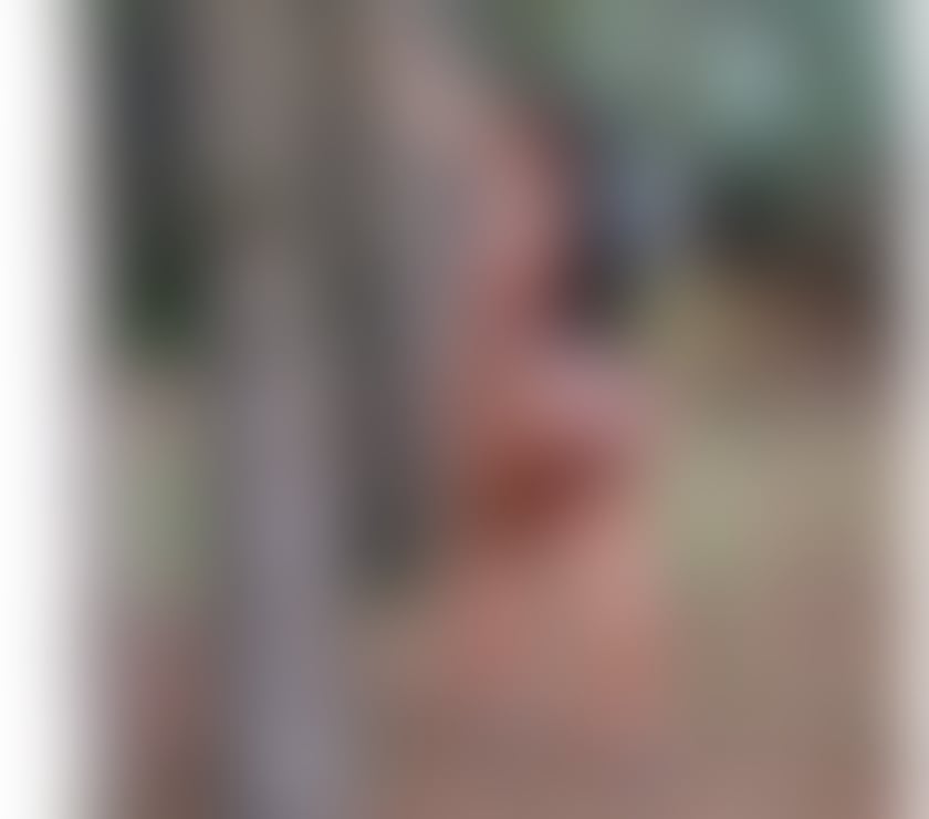 Trans Escorts North London Finsbury Park - North London - Photos for ts LARISSA HOT PARTY 🎉 domination XXL 🍆