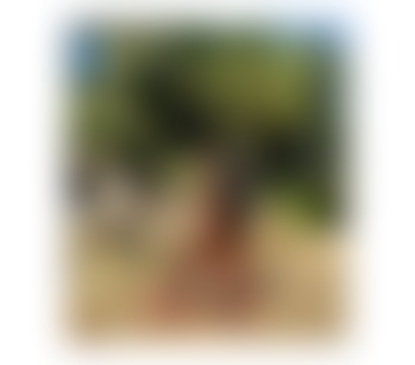 Escorts County Durham Darlington - Photos for Lexi - Party Girl - New In Town