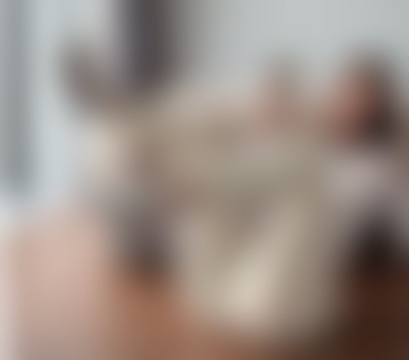 Escorts Dorset Bournemouth, Christchurch and Poole - Photos for MAYA HIGH CLASS🔥 BEST SERVICE IN TOWN 🔥