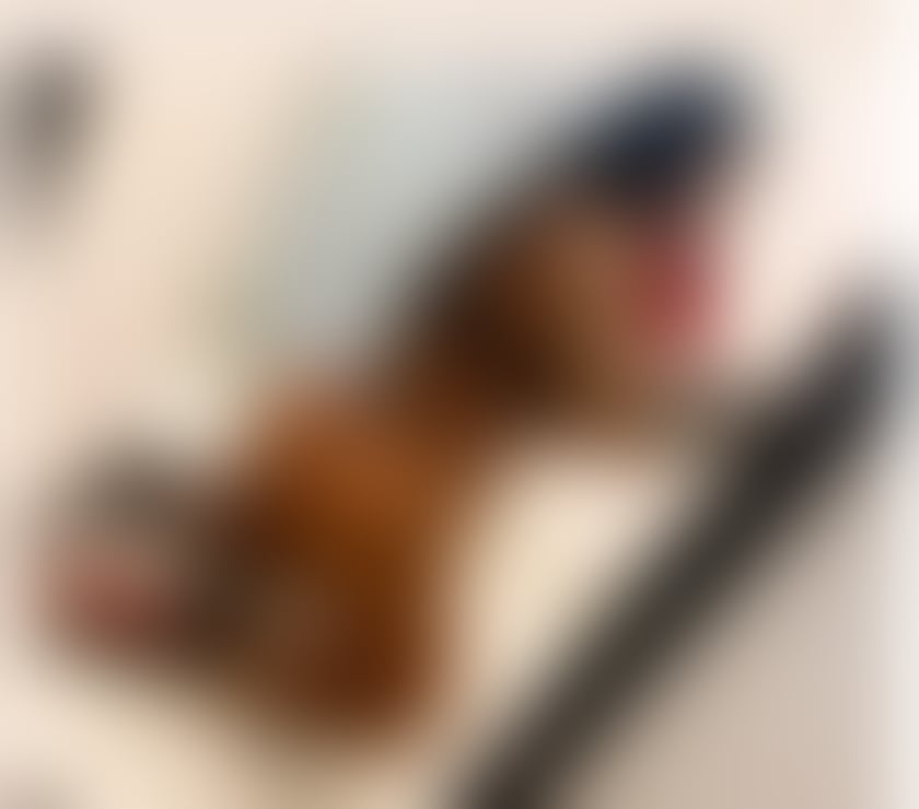 Escorts South Yorkshire Rotherham - Photos for Hello i am Adelle just come in yours town❌party❤☎️
