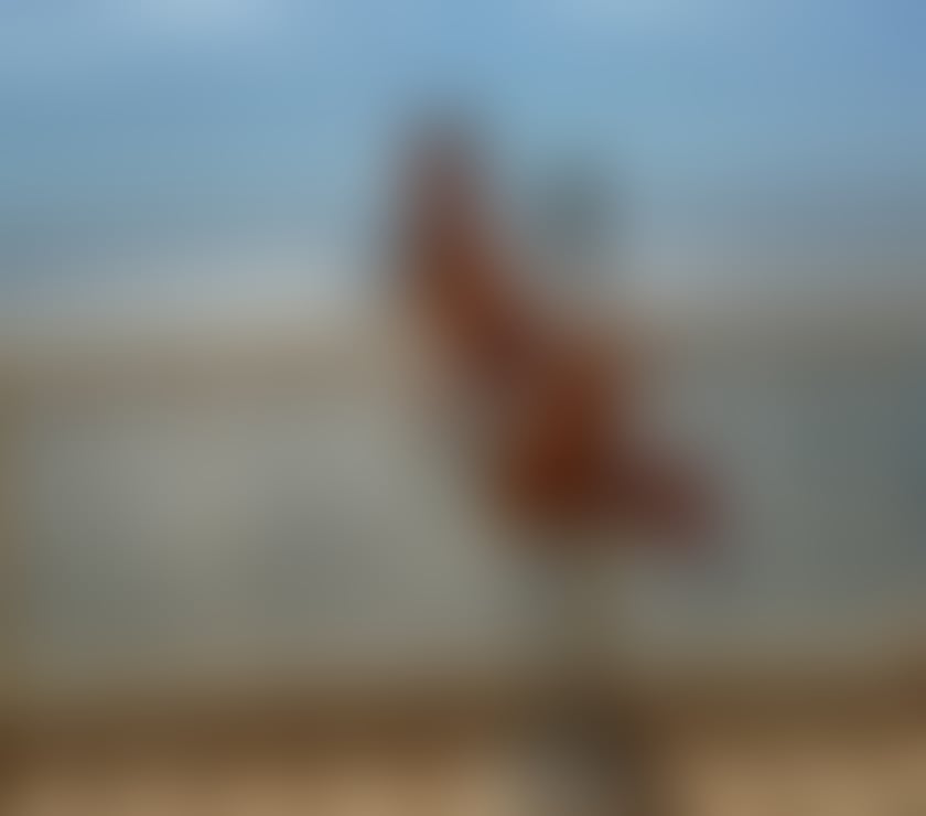 Escorts Harlow Town Centre Harlow - Photos for ANNABEL PARTY GIRL