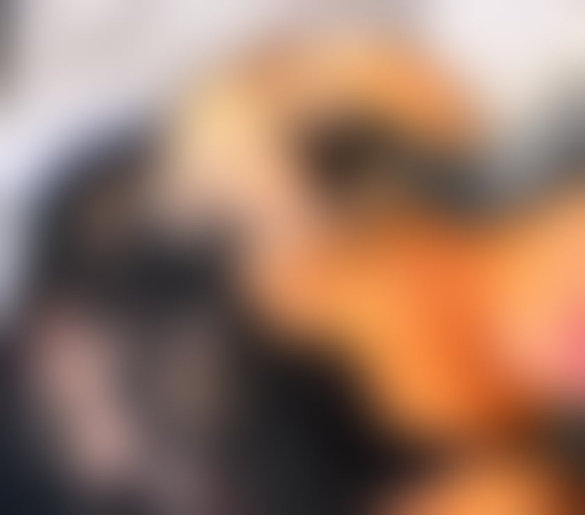 Escorts Gloucestershire Gloucester - Photos for tinny 3.7 my first time here🍯 come have fun 🇧🇷