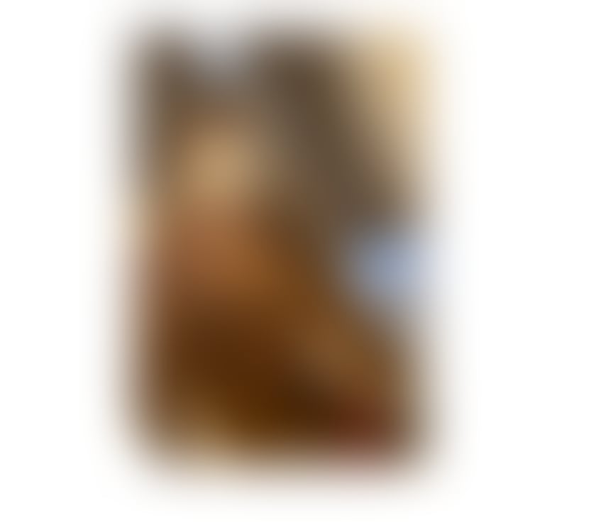 Escorts Hull Hull City Centre - Hull - Photos for ‼️new to you in town‼️
