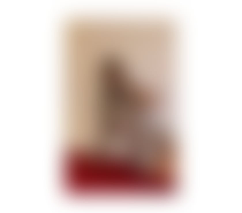 Escorts Kent Canterbury - Photos for New New in tour town , party girl , britney