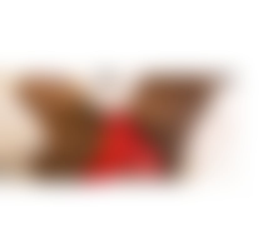 Escorts Barking and Dagenham Barking - Barking and Dagenham - Photos for Sweet ebony 👅👅💋