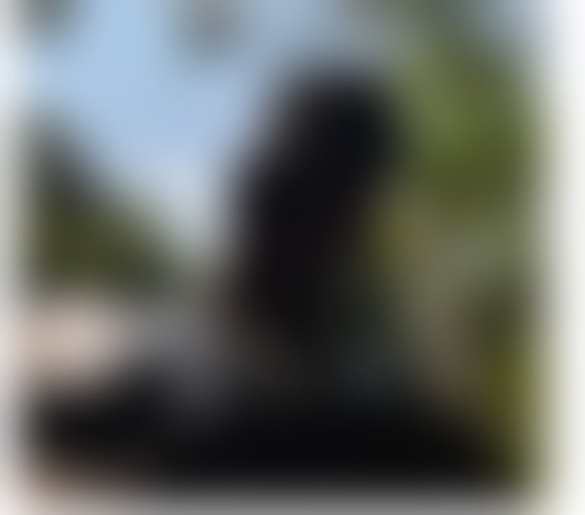 Escorts South Yorkshire Sheffield - Photos for ***John FTM ***