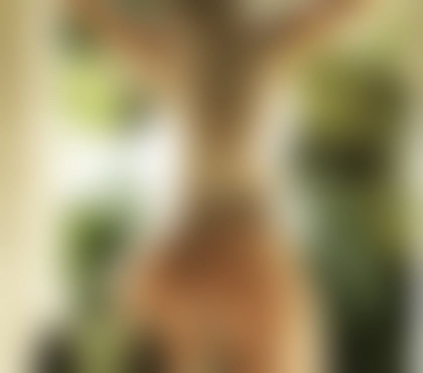 Escorts Gloucestershire Cheltenham - Photos for Hot Colombian Latina, real photos, I'm in the center, discre