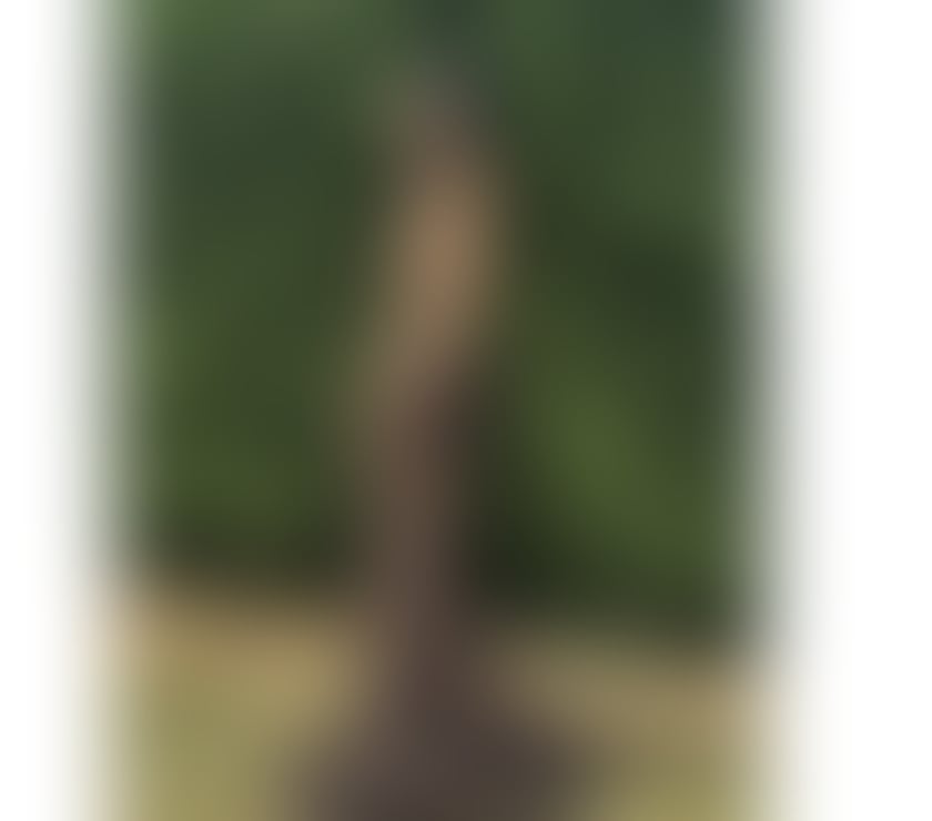 Escorts Lincolnshire Lincoln - Photos for Hello. Gentlemen I am Amanda sexy Thailand.❤️
