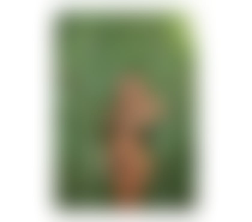 Escorts East Sussex Wealden - Photos for Melissa - Best Experience - Outcall