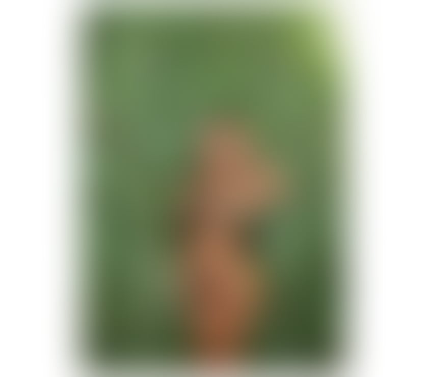 Escorts Devon North Devon - Photos for Melissa - Outcall Now - Party Time