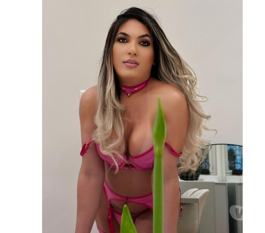 Trans Escorts Leicestershire Leicester - Photos for Pamela meclayne