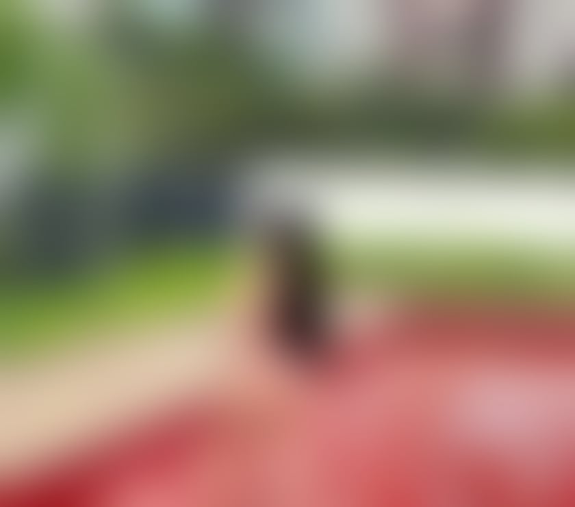 Escorts South Yorkshire Sheffield - Photos for BRUNETTE LANA - 100% REAL - NEW IN TOWN