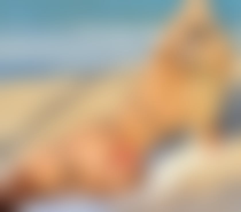 Escorts North West London Rayners Lane - North West London - Photos for 📞📞 ADA BRAZILIAN GIRL 📞📞