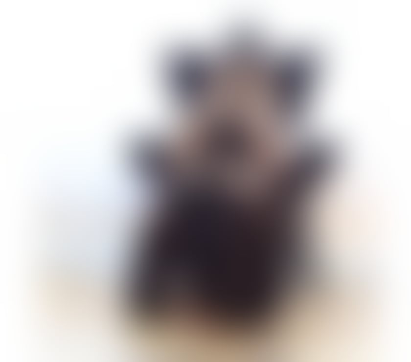 Escorts West London Ealing - West London - Photos for ♥️🍷🔥PATRICIA SEXY GOOD SERVICE BRAZILIAN💚👠