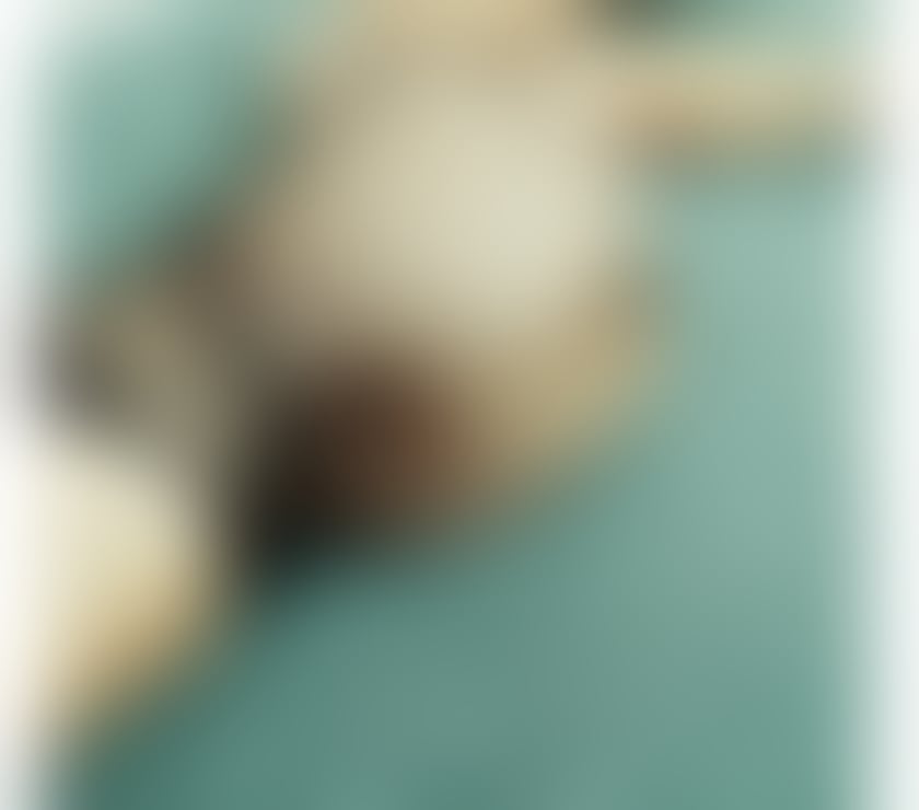 Escorts Peterborough Peterborough City Centre - Peterborough - Photos for Hey Im layla i come back to your town 😘♥️🫦🥳
