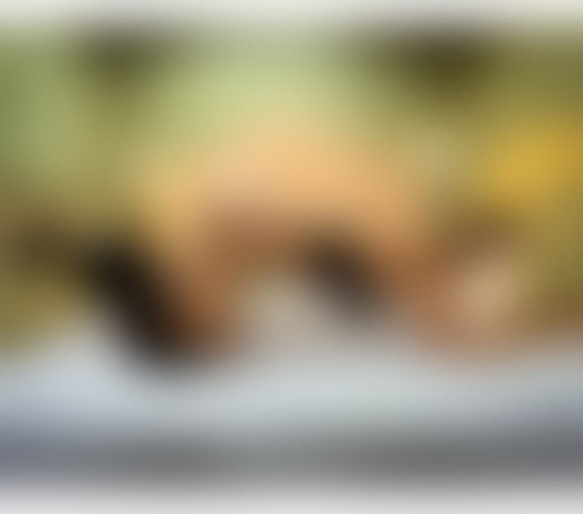 Escorts Cumberland Carlisle - Cumberland - Photos for Julie x Professional massage x body2body x relax