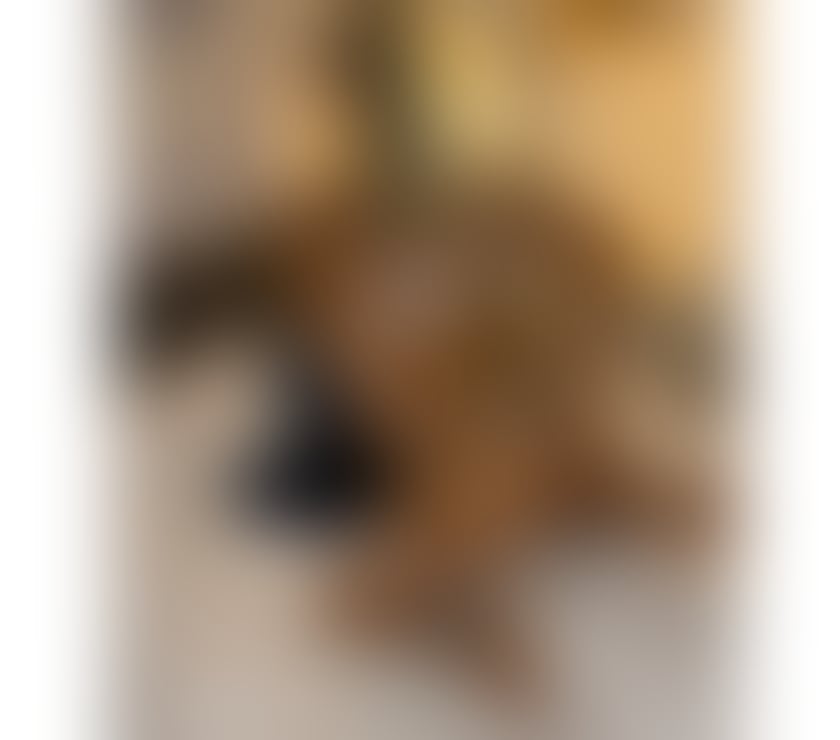 Escorts East Sussex Brighton - Photos for Sarah🔥REAL💯BACK IN TOWN GUYS💦🔞🔥Full ❤️