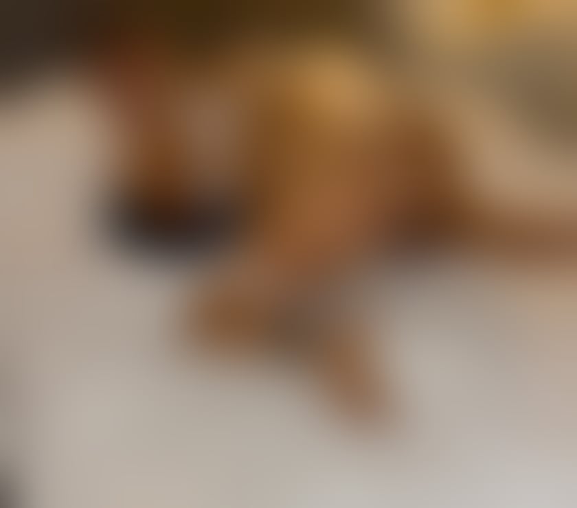  Escorts & Erotic Massage Brighton City Centre Brighton - Photos for Sarah🔥REAL💯BACK IN TOWN GUYS💦🔞🔥Full ❤️