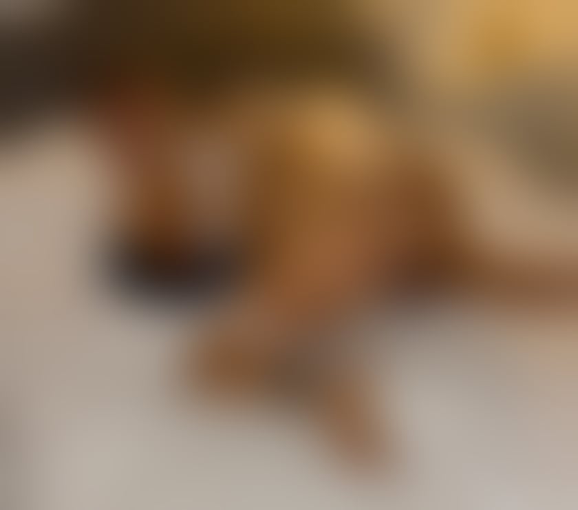 Escorts & Erotic Massage Swansea City Centre Swansea - Wales - Photos for ELLA✨ Your Ultimate Escape with a Blonde Beauty ✨