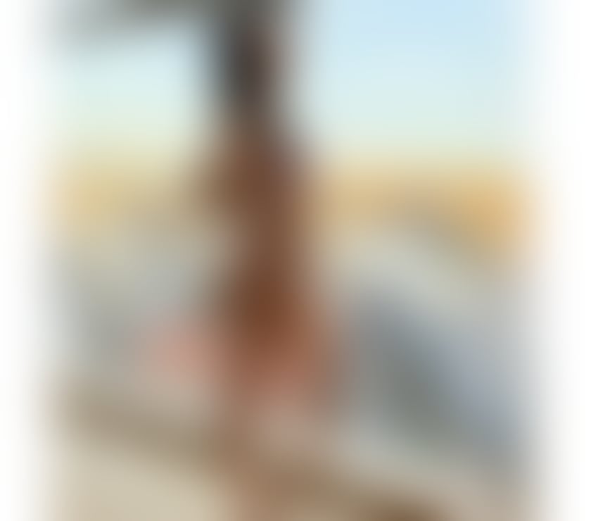 Escorts North West London Willesden Green Station - North West London - Photos for Evelyn BEST SERVICE No rush πππ§π·