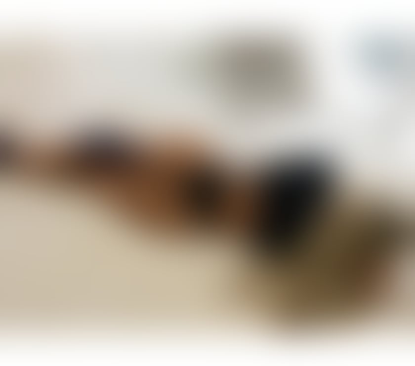 Escorts West London Hounslow - Photos for Paula it's new for you