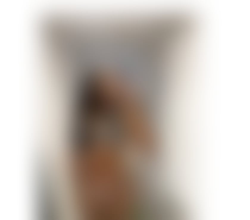 Escorts Norfolk Norwich - Photos for Brunette Brazilian
