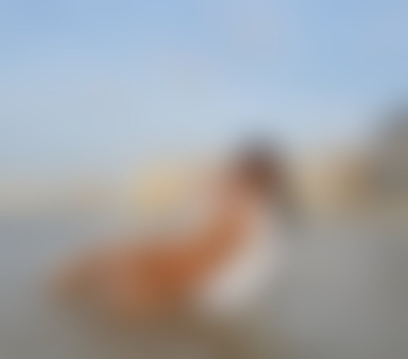 Escorts East London Poplar - East London - Photos for Lia 100% real. 😘New in town Brazilian hot girl!🔥
