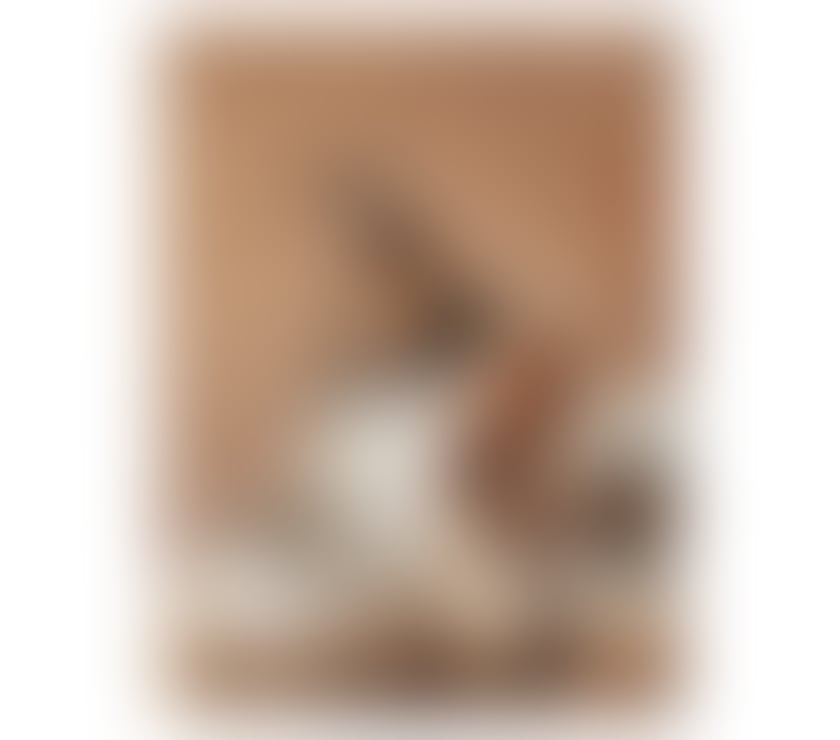 Escorts Northampton West Northamptonshire - Photos for HEILLY❤️ NEW ESCORT PARTY GIRL Outcall💥💥 ❤️