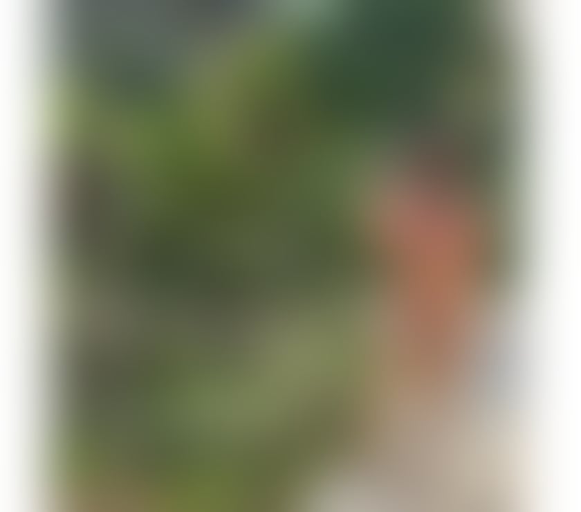 Escorts Oxfordshire Cherwell - Photos for 🔥Naughty Amanda In Town, Just Arriving! ❤️‍🔥🤤