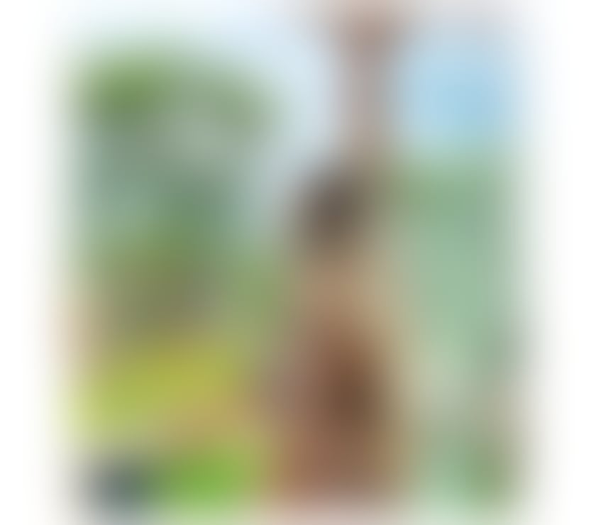 Escorts Peterborough Peterborough City Centre - Peterborough - Photos for AUTHENTIC LATINA IN THE UK🔥💕