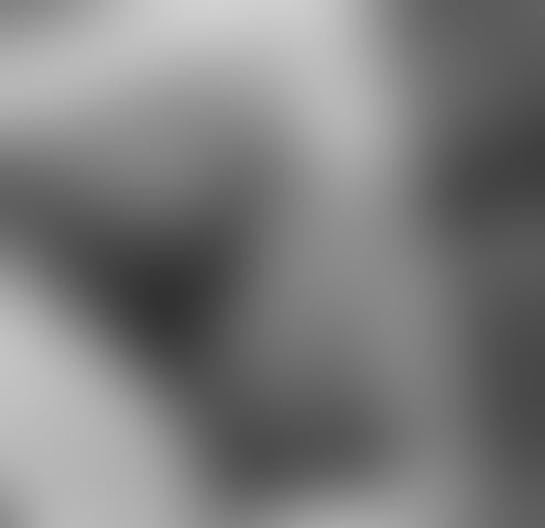 Escorts South Yorkshire Doncaster - 