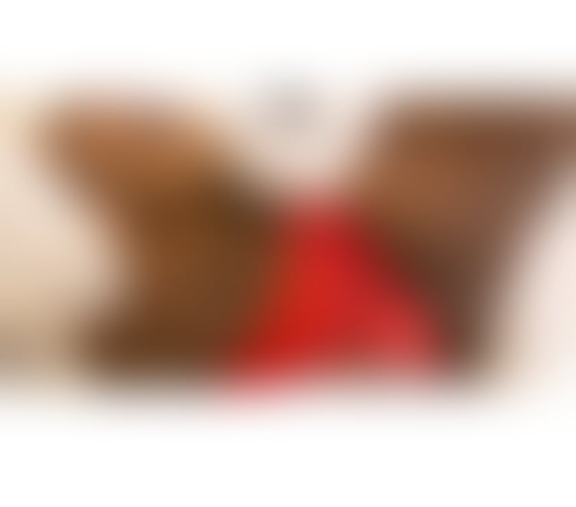 Escorts South East London Croydon - Photos for Horny ebony 👅👅👅🍆