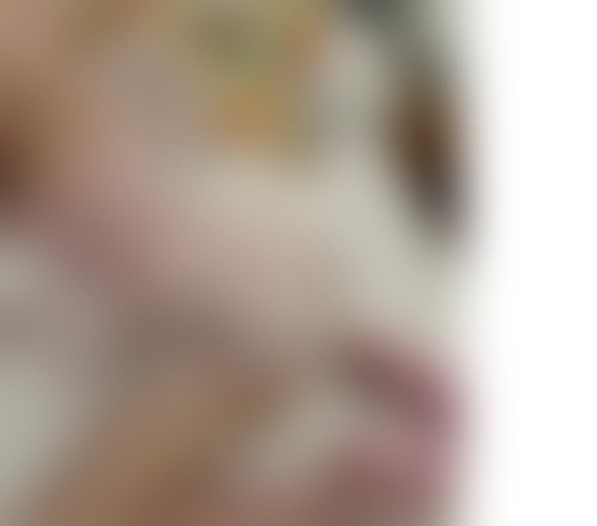Trans Escorts West Midlands Birmingham - Photos for British Hayleybabes