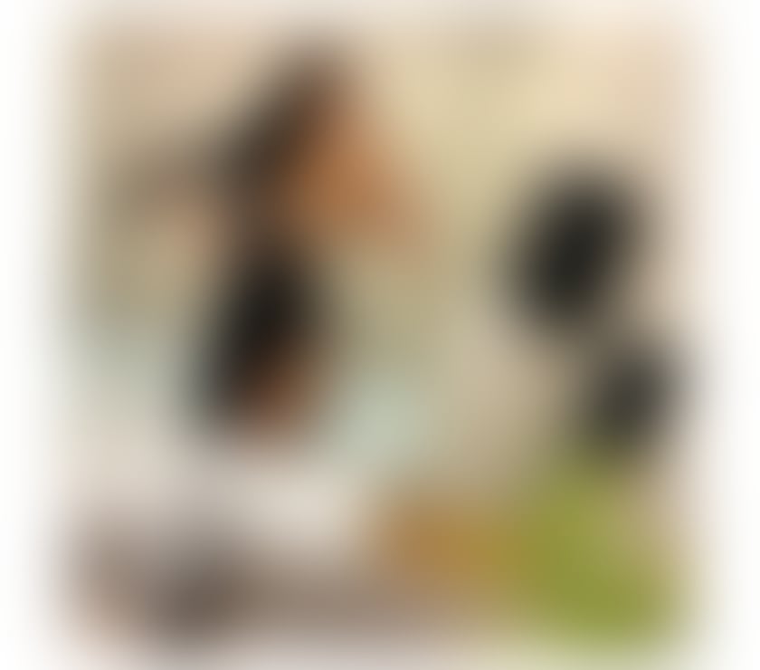 Escorts Westmorland and Furness Penrith - Westmorland and Furness - Photos for LEA@OWO💯NEW HOT 💋 GIRL ❌owo💦❣️party