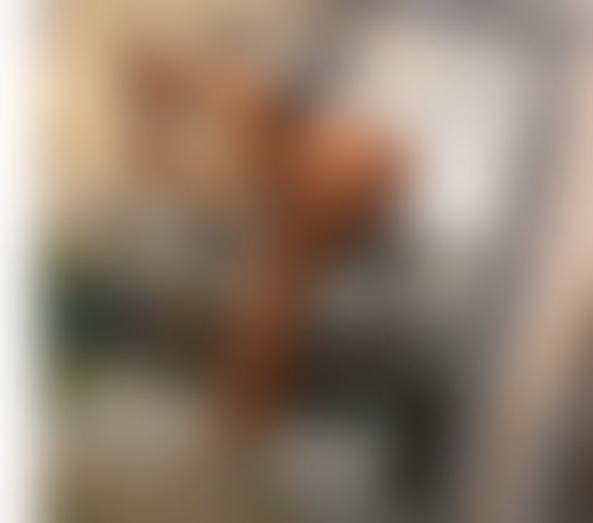Escorts North Yorkshire Harrogate Town Centre - North Yorkshire - Photos for Come over and let me please you