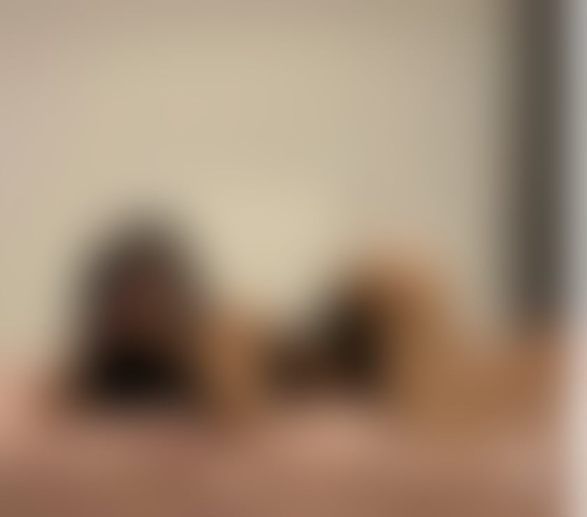 Escorts Bracknell Forest Amen Corner - Bracknell Forest - Photos for ❌BONNIE❌HIGH CLASS ❌BEST BJ❌NO RUSH👅