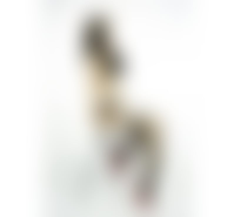 Escorts South East London Lewisham - Photos for Emily UNFORGETTABLE GIRLFRIEND EXPERIENCE & BEST BJ