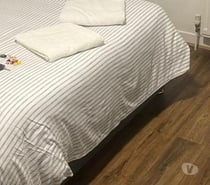 Asian male waiting in hotel for couples mf or female