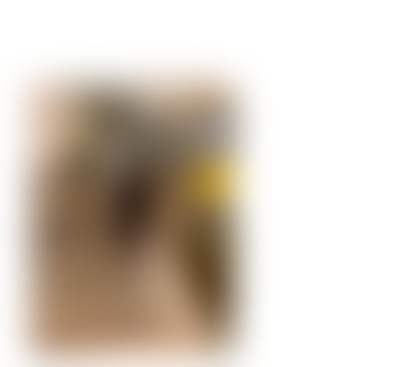Escorts Central London Bond Street - Central London - Photos for The Nuru Massage Expérience