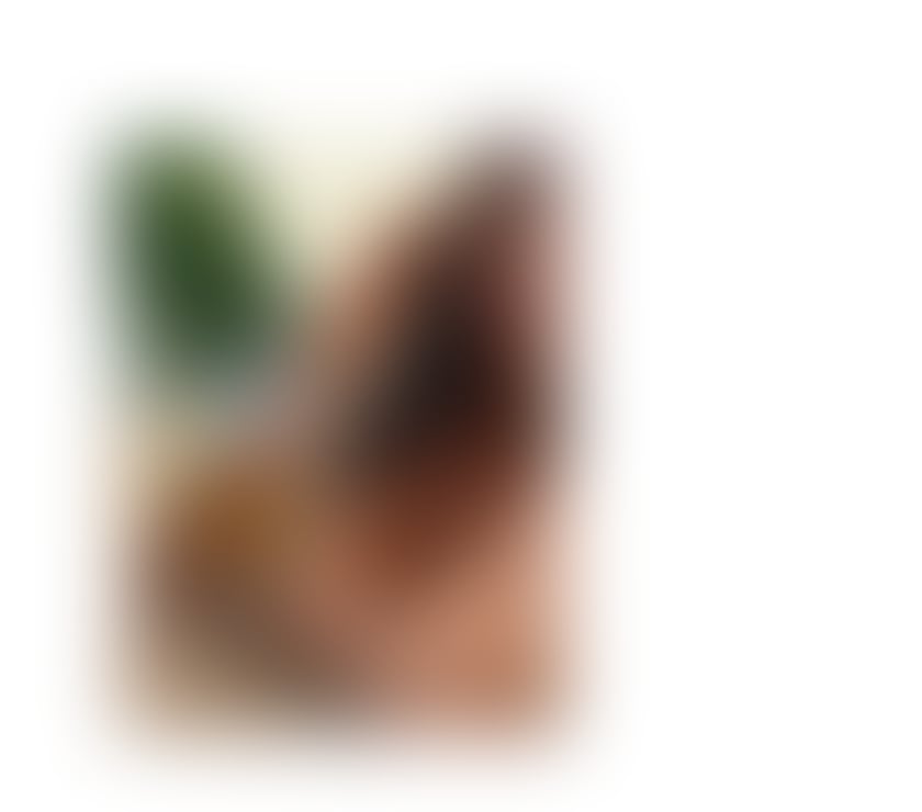 Escorts Central London Bond Street - Central London - Photos for The Nuru Massage Expérience
