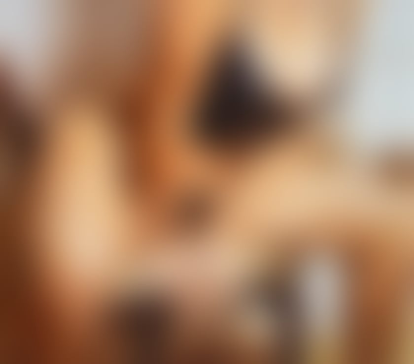 Escort Wallsend North Tyneside - Photos for ❤️Alice......best service..NO RUSH❤️