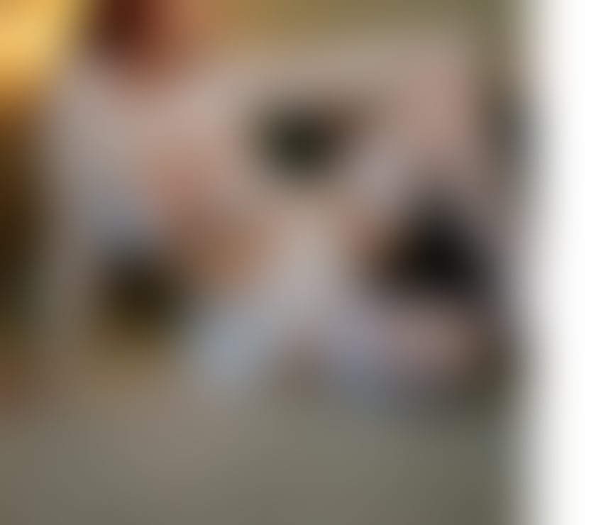 Escorts West Yorkshire Leeds - Photos for Giulia best bj✅ 🔝 best experience 🤞 New in Town 💋