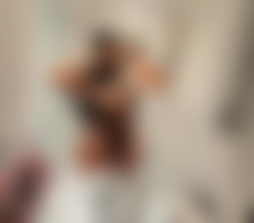Escorts Edinburgh Edinburgh Old Town - Edinburgh - Photos for 🤩🥰New Gfe Party full Call Now🤩🥰
